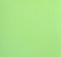 Пленка ПВХ Светло-зеленый предназначена для отделки дверей металлических